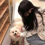 帝霸天下内购破解版下载